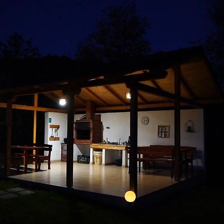 Guest House Carpathia Vişeu de Sus Exteriér fotografie