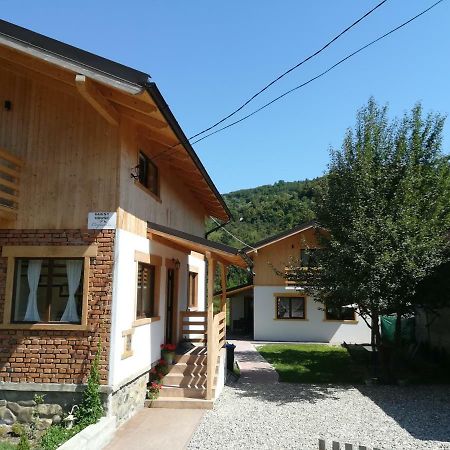 Guest House Carpathia Vişeu de Sus Exteriér fotografie