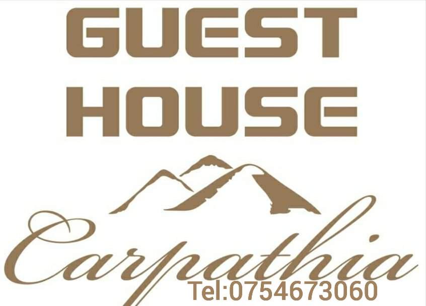 Guest House Carpathia Vişeu de Sus Exteriér fotografie