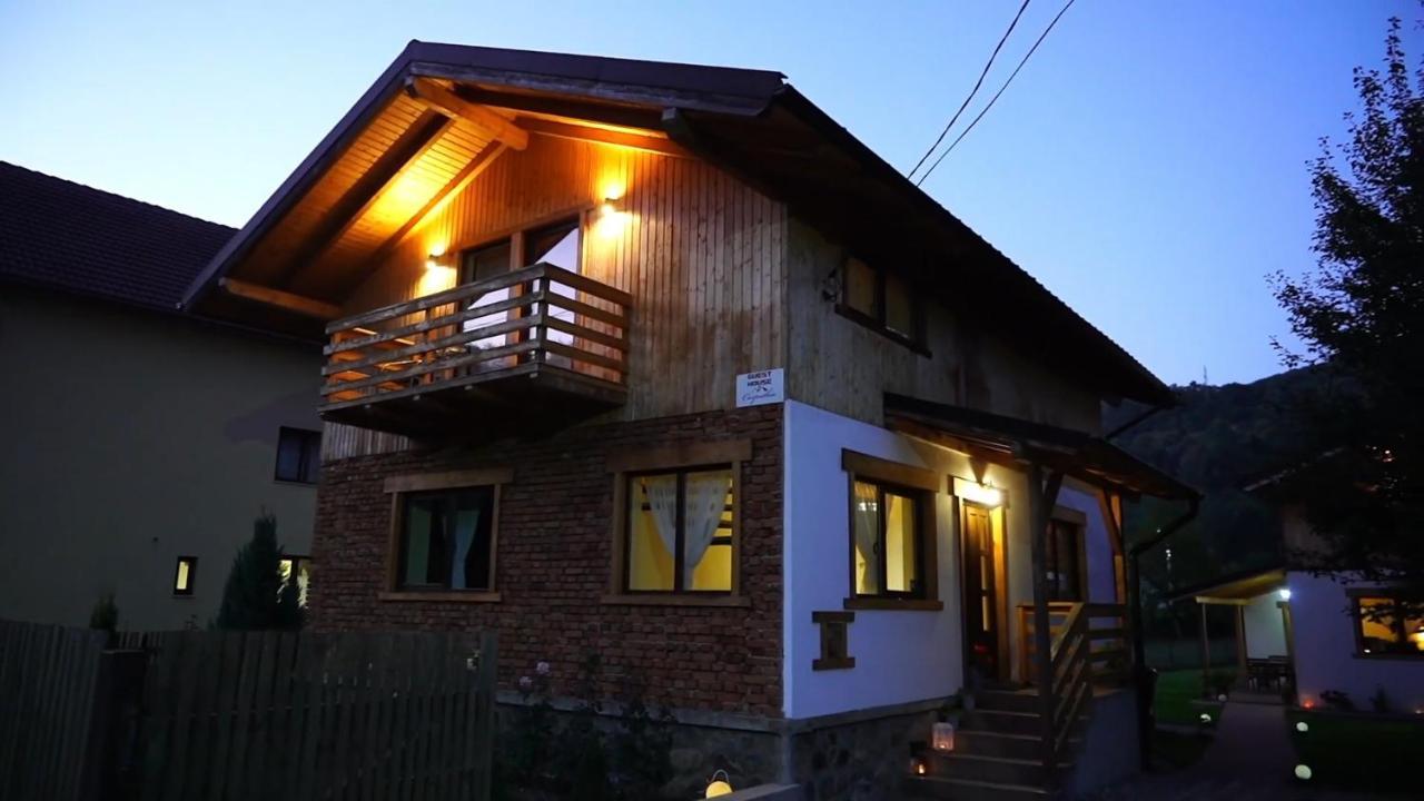 Guest House Carpathia Vişeu de Sus Exteriér fotografie