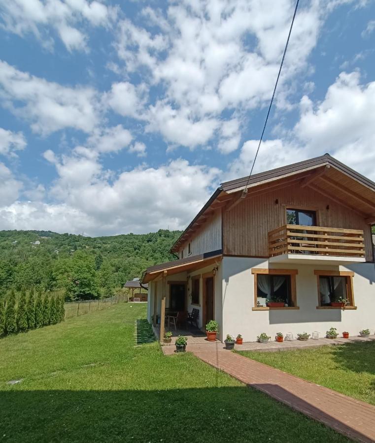 Guest House Carpathia Vişeu de Sus Exteriér fotografie