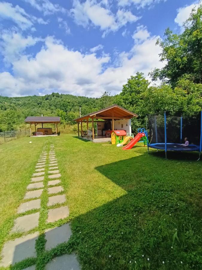 Guest House Carpathia Vişeu de Sus Exteriér fotografie