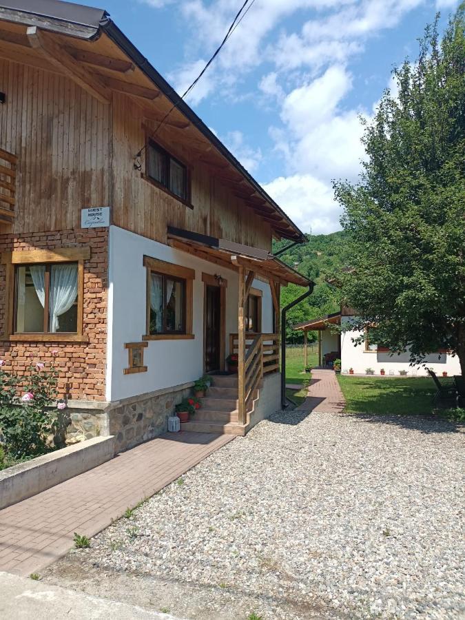 Guest House Carpathia Vişeu de Sus Exteriér fotografie