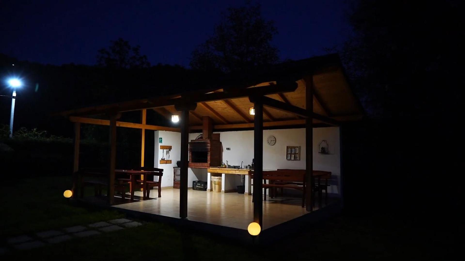 Guest House Carpathia Vişeu de Sus Exteriér fotografie