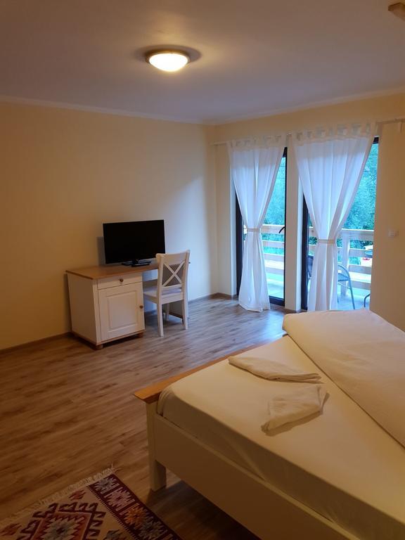 Guest House Carpathia Vişeu de Sus Exteriér fotografie