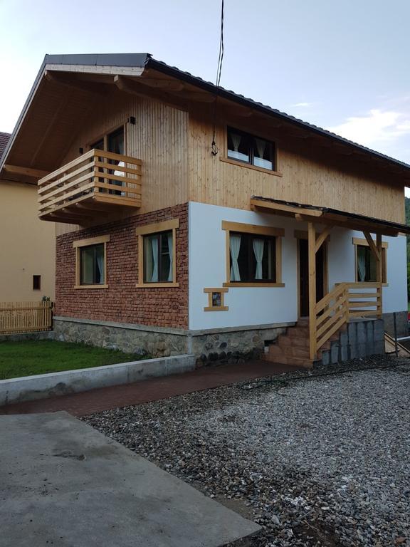 Guest House Carpathia Vişeu de Sus Exteriér fotografie
