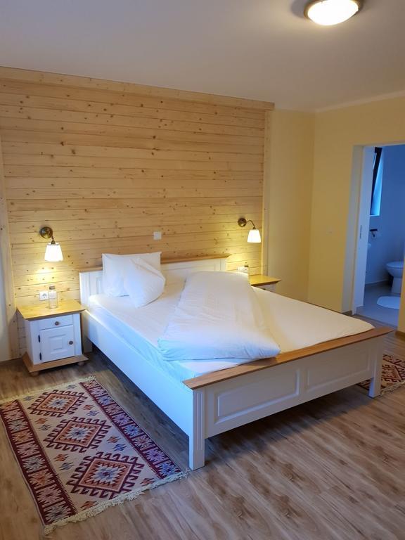 Guest House Carpathia Vişeu de Sus Exteriér fotografie