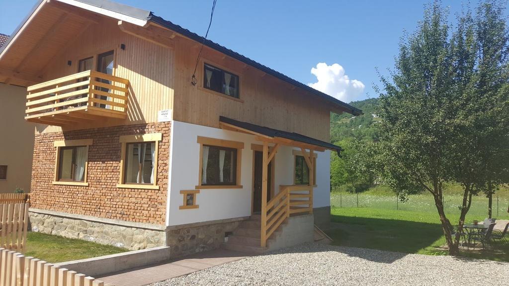 Guest House Carpathia Vişeu de Sus Exteriér fotografie