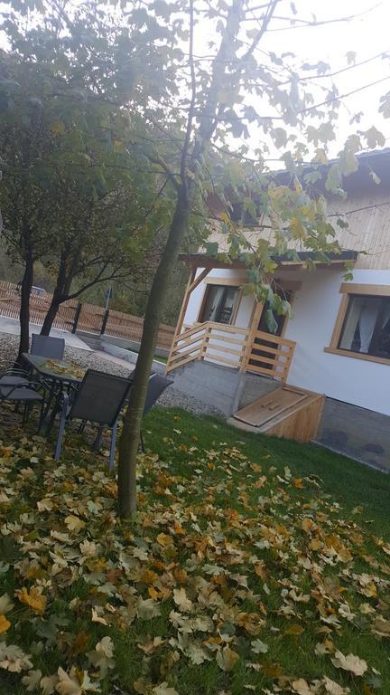 Guest House Carpathia Vişeu de Sus Exteriér fotografie