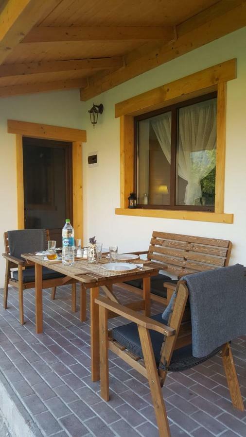 Guest House Carpathia Vişeu de Sus Exteriér fotografie