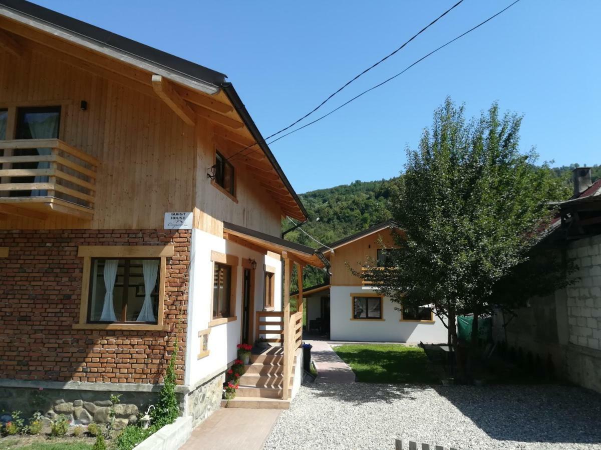 Guest House Carpathia Vişeu de Sus Exteriér fotografie