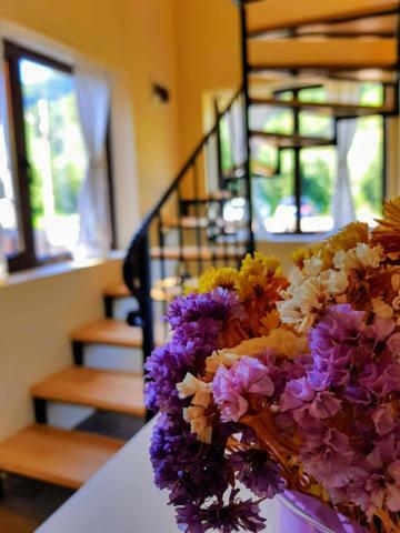 Guest House Carpathia Vişeu de Sus Exteriér fotografie